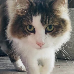 Meet your Posher, Megan